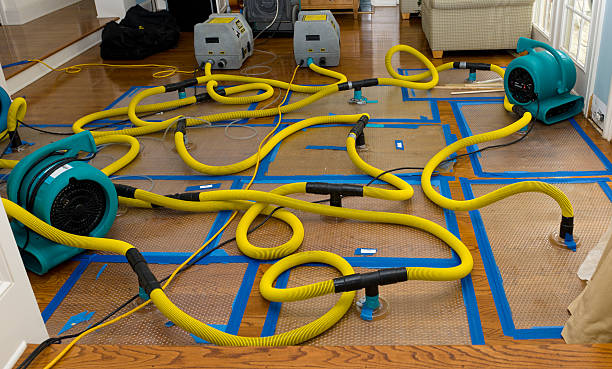Professional Burst Pipe Water Damage technician working in Westville, OK